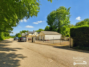 Yard- click for photo gallery